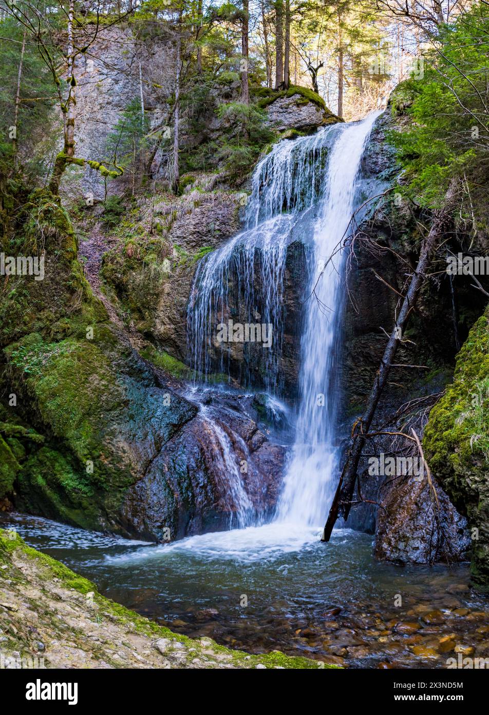 Belle randonnée de printemps à la cascade de Niedersonthofen à travers le Falltobel près de Niedersonthofen dans l'Allgau Banque D'Images