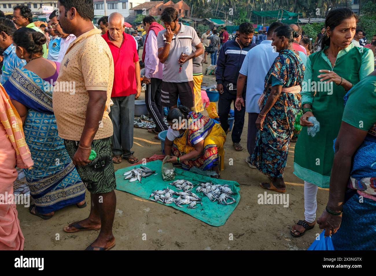 Malvan, Inde - 7 février 2024 : une femme vendant du poisson au marché aux poissons de Malvan dans le Maharashtra, Inde. Banque D'Images