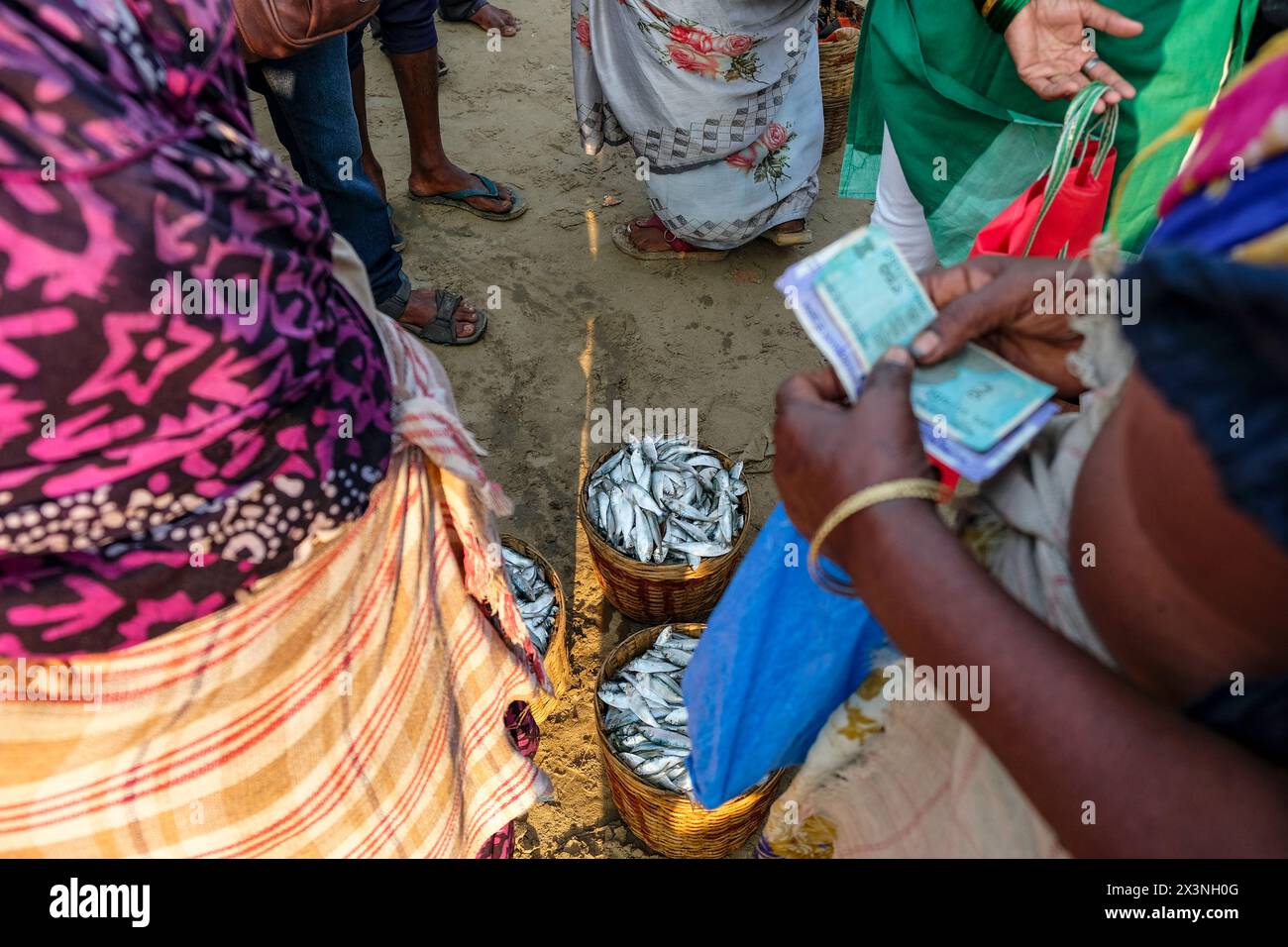 Malvan, Inde - 7 février 2024 : les gens vendent du poisson au marché aux poissons de Malvan dans le Maharashtra, Inde. Banque D'Images