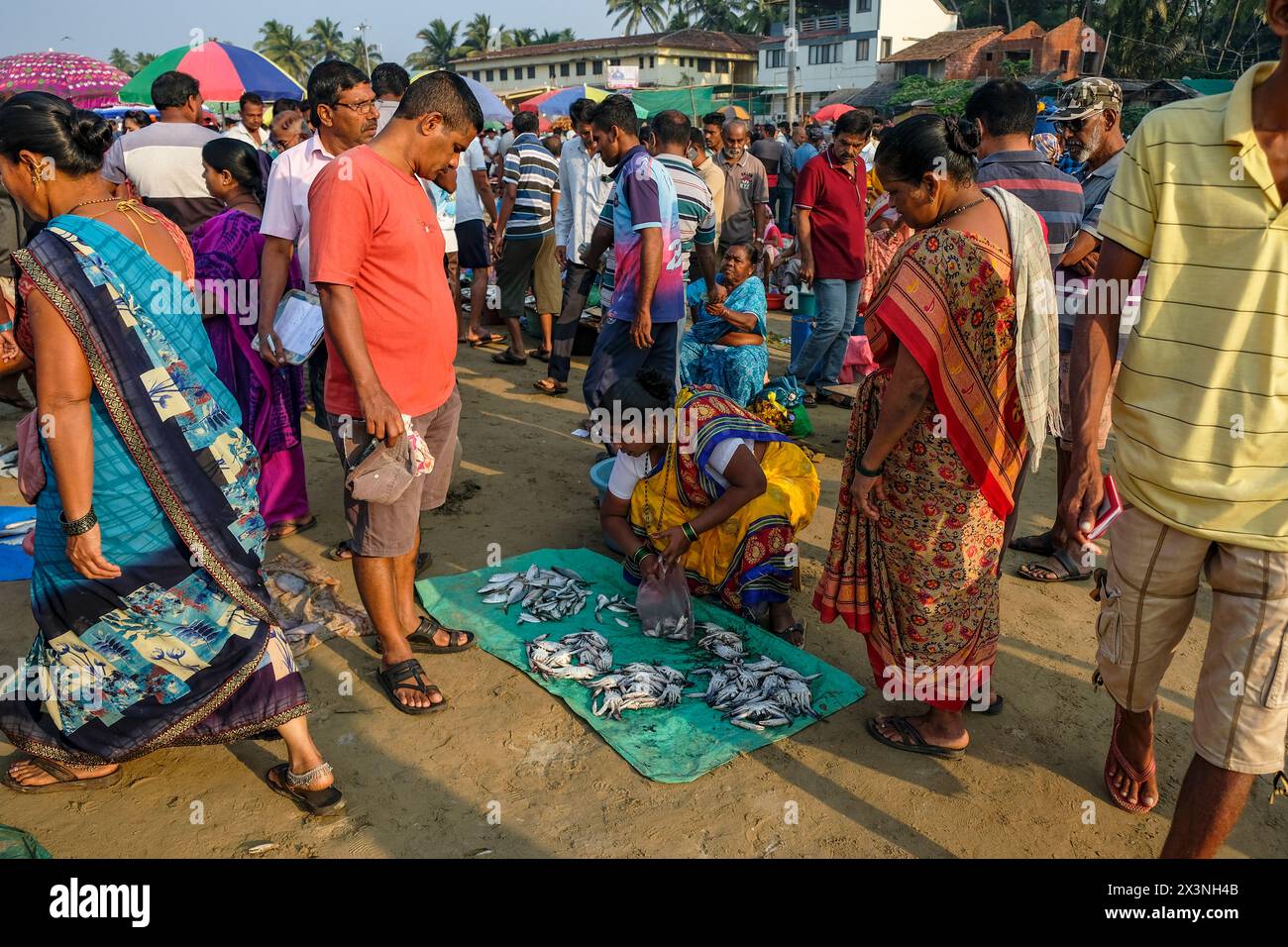 Malvan, Inde - 7 février 2024 : femmes vendant du poisson au marché aux poissons de Malvan dans le Maharashtra, Inde. Banque D'Images