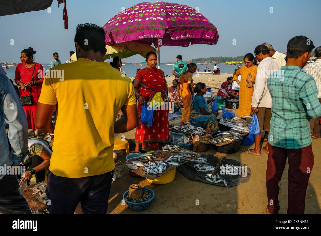 Malvan, Inde - 7 février 2024 : femmes vendant du poisson au marché aux poissons de Malvan dans le Maharashtra, Inde. Banque D'Images