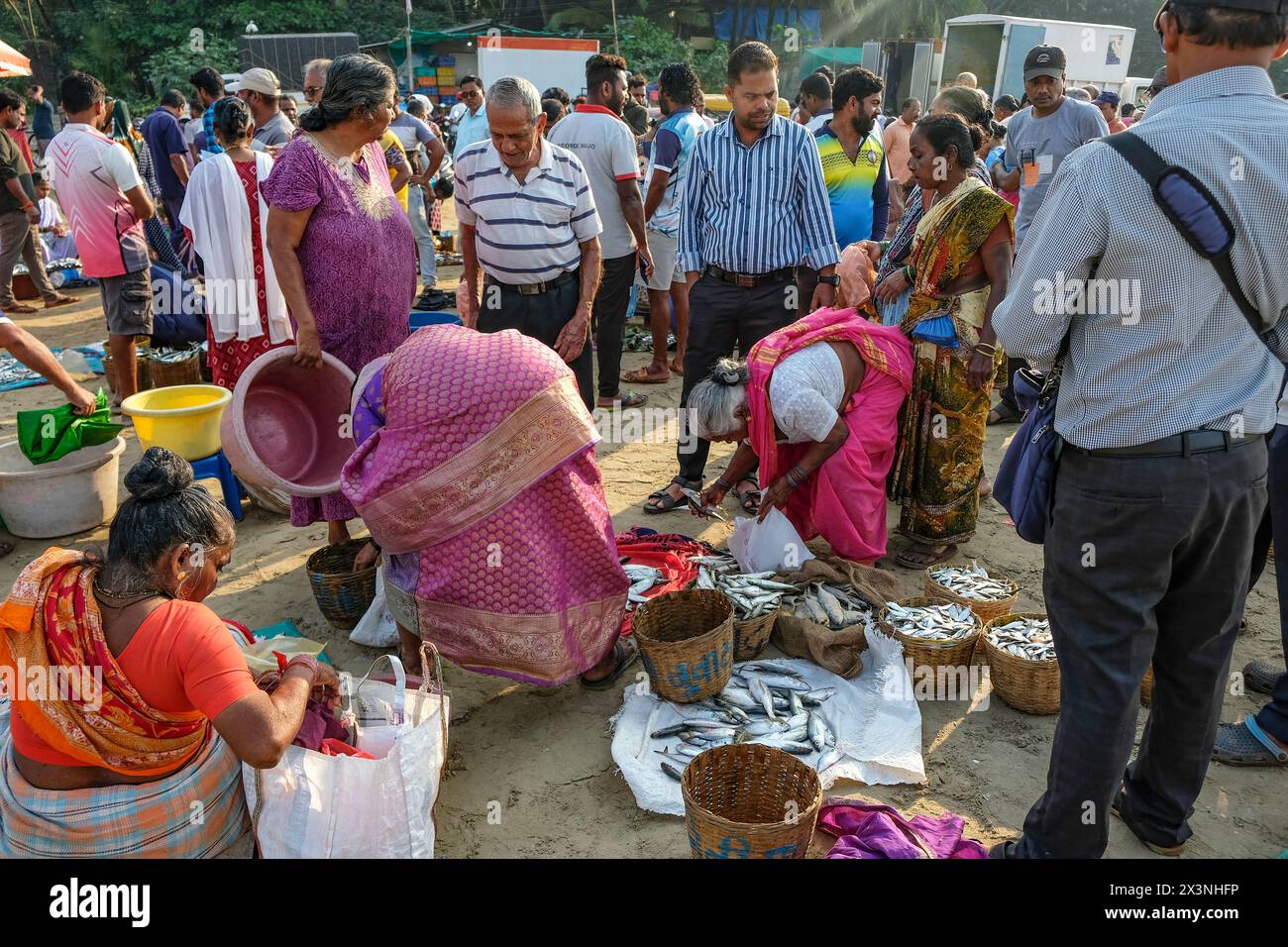 Malvan, Inde - 7 février 2024 : les gens vendent du poisson au marché aux poissons de Malvan dans le Maharashtra, Inde. Banque D'Images