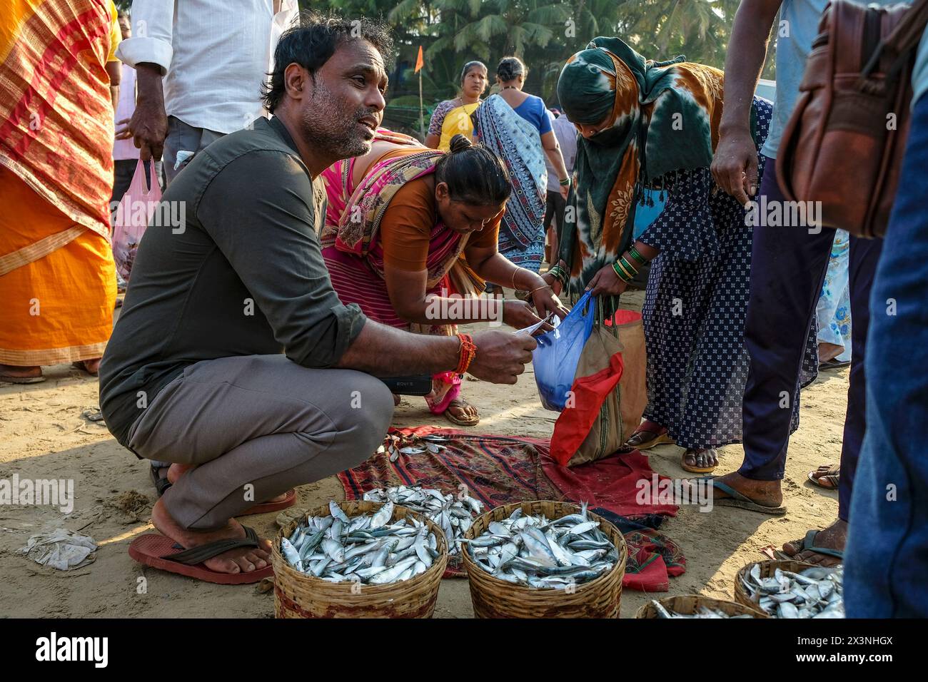 Malvan, Inde - 7 février 2024 : les gens vendent du poisson au marché aux poissons de Malvan dans le Maharashtra, Inde. Banque D'Images