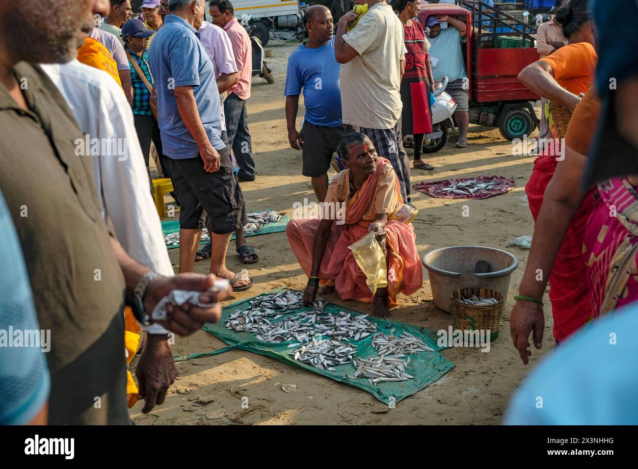 Malvan, Inde - 7 février 2024 : une femme vendant du poisson au marché aux poissons de Malvan dans le Maharashtra, Inde. Banque D'Images