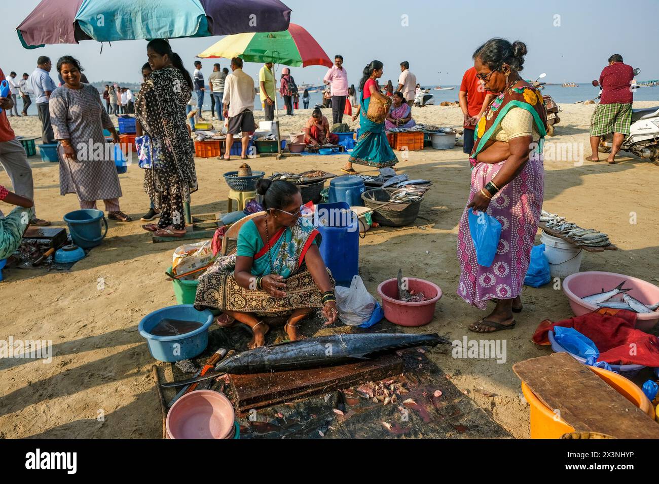 Malvan, Inde - 7 février 2024 : femmes vendant du poisson au marché aux poissons de Malvan dans le Maharashtra, Inde. Banque D'Images