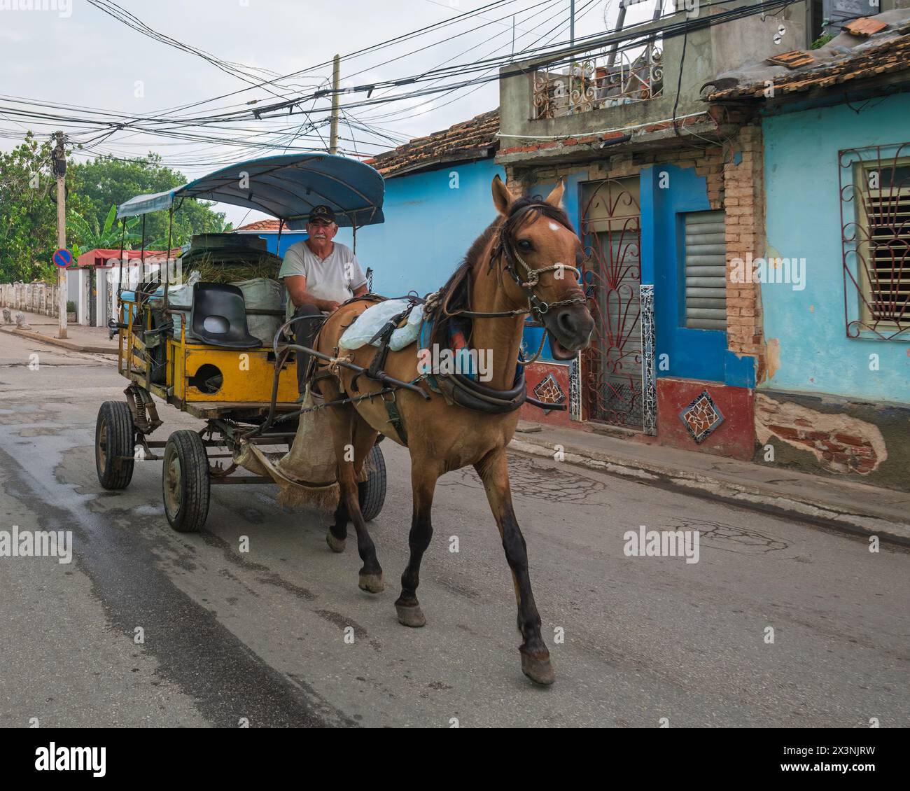 La vue très commune des chevaux et des charrettes utilisés pour transporter des personnes et des marchandises dans les rues de la vieille ville, Trinidad, Cuba Banque D'Images