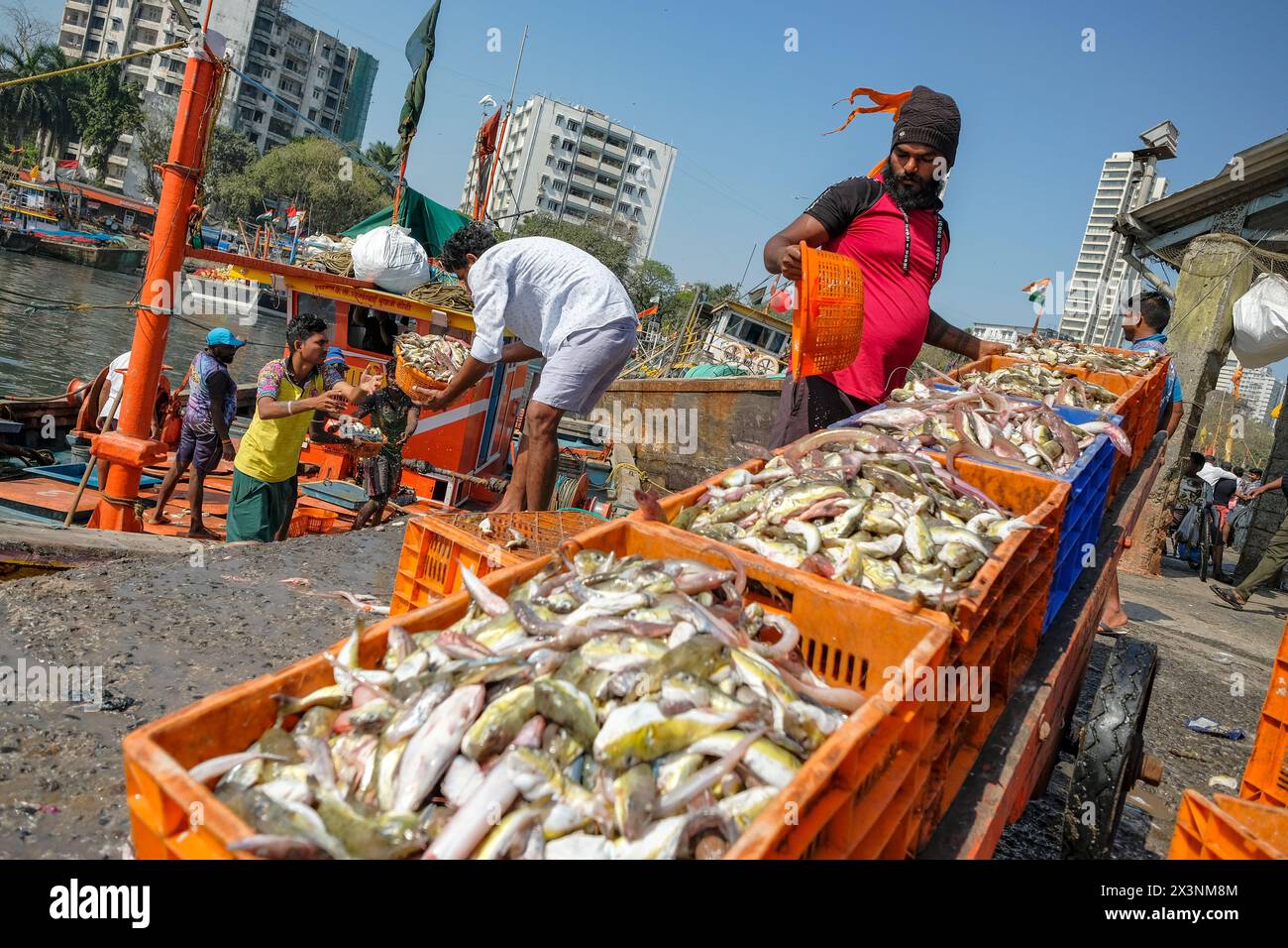 Mumbai, Inde - 8 mars 2024 : pêcheurs au quai de Sassoon dans le district de Colaba à Mumbai, Inde. Banque D'Images