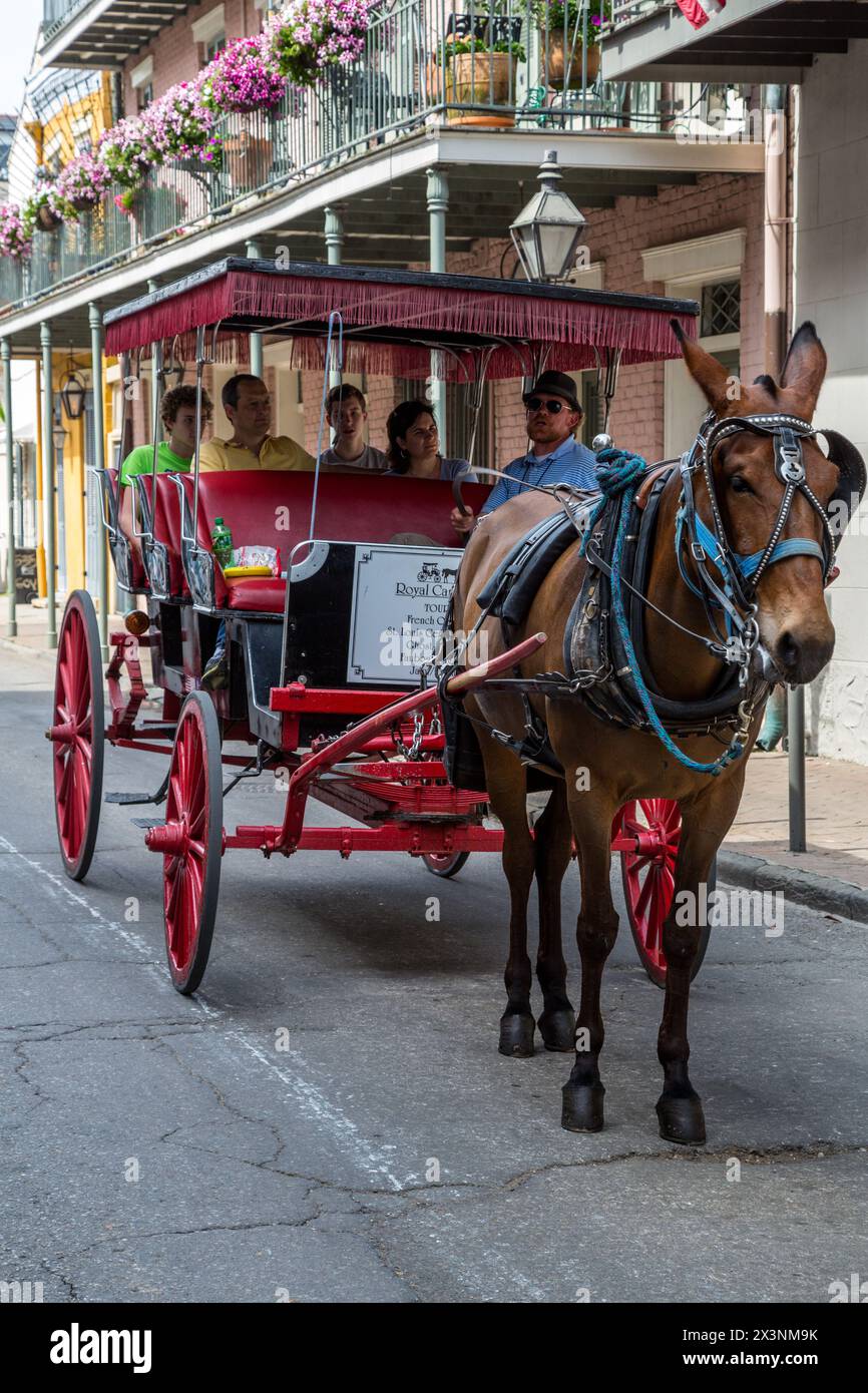 La Nouvelle-Orléans, Louisiane. Quartier français, passagers appréciant une promenade en calèche tirée par Mule. Banque D'Images