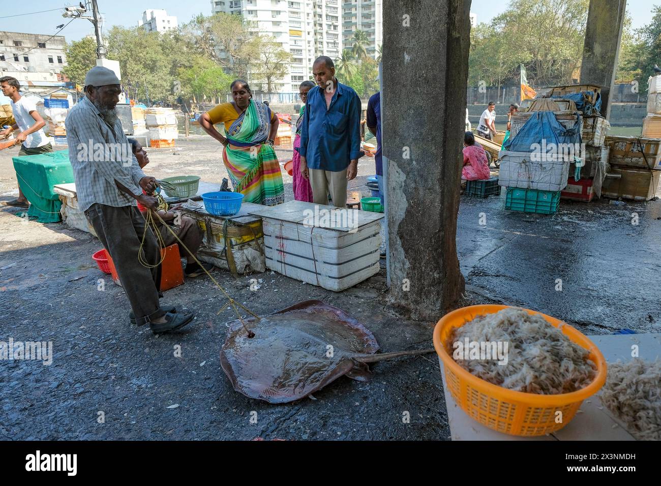Mumbai, Inde - 8 mars 2024 : les gens vendent du poisson au Sassoon Dock dans le district de Colaba à Mumbai, Inde. Banque D'Images