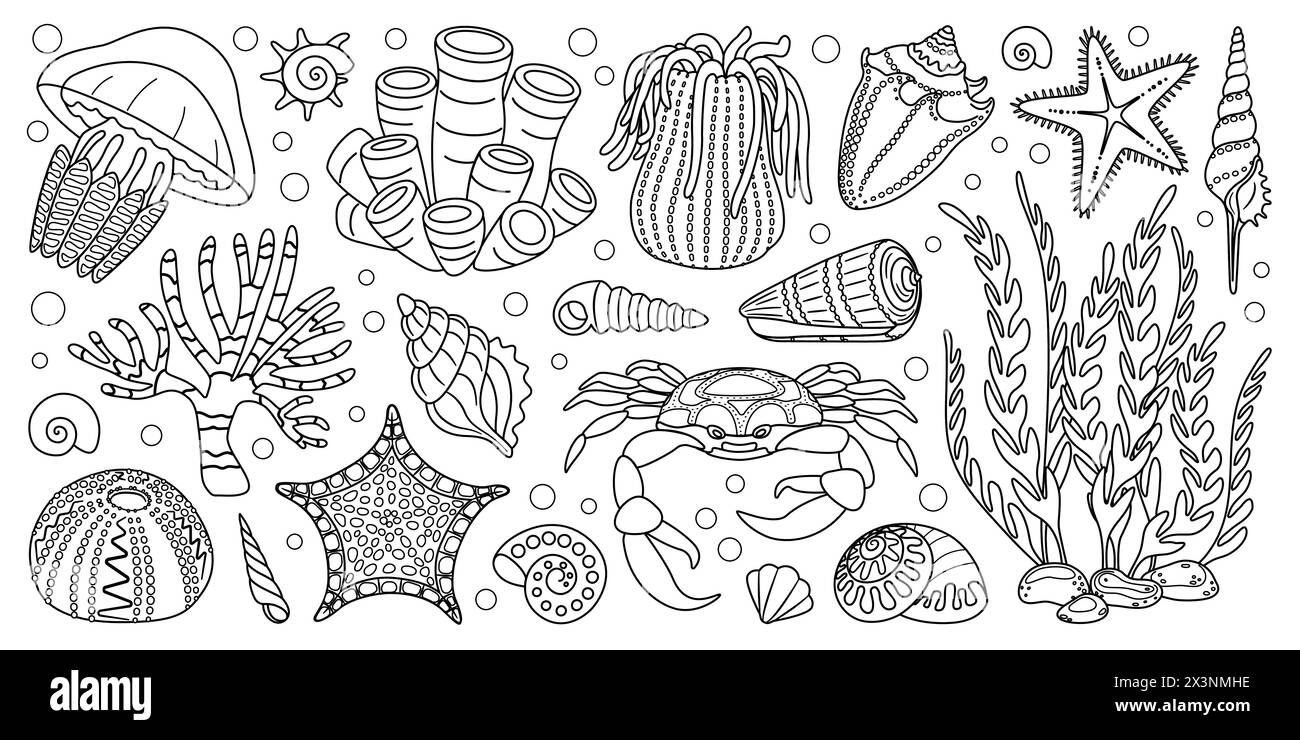 Ensemble d'éléments SEA LIFE dessinés au trait à la main. Animaux aquatiques, anémones, crabe, algues, coquillages, étoiles de mer, plantes de récif corallien. Livre de coloriage écosystémique sous-marin de style doodle à la mode. Illustration vectorielle Illustration de Vecteur