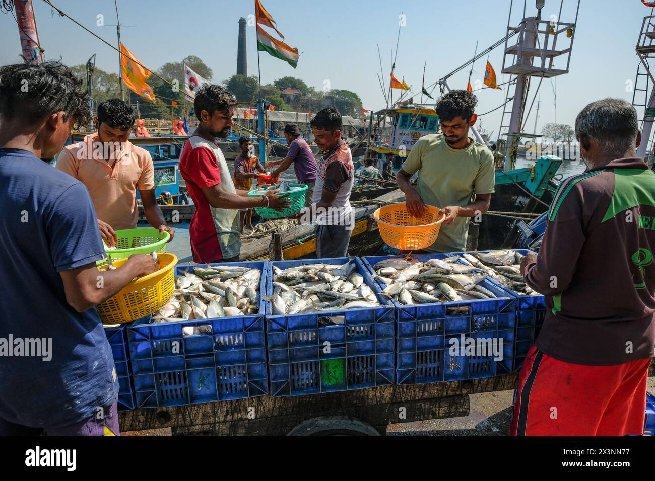 Mumbai, Inde - 8 mars 2024 : pêcheurs au quai de Sassoon dans le district de Colaba à Mumbai, Inde. Banque D'Images