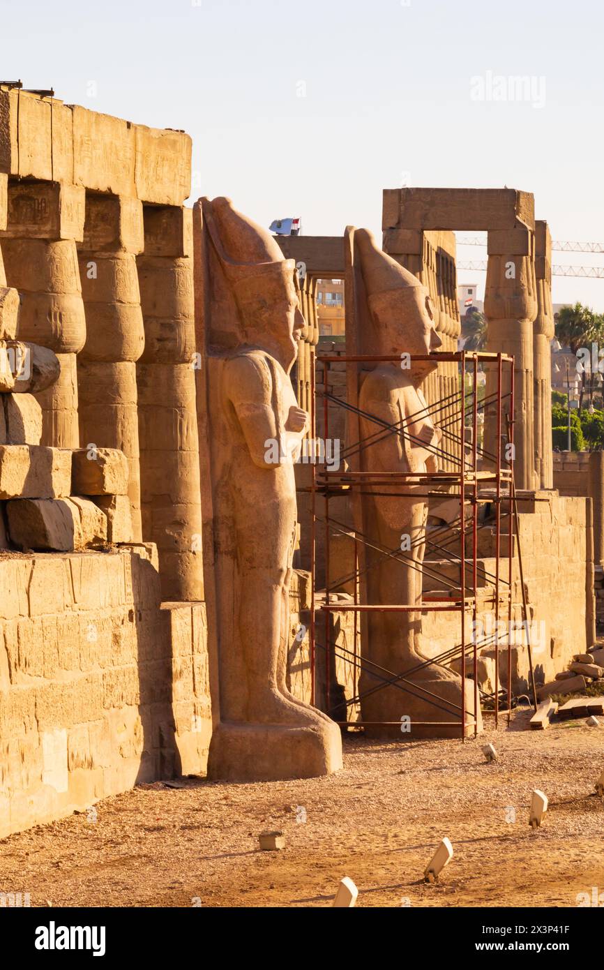 Restauration d'échafaudages sur une grande statue, Temple de Louxor, Louxor, Egypte Banque D'Images