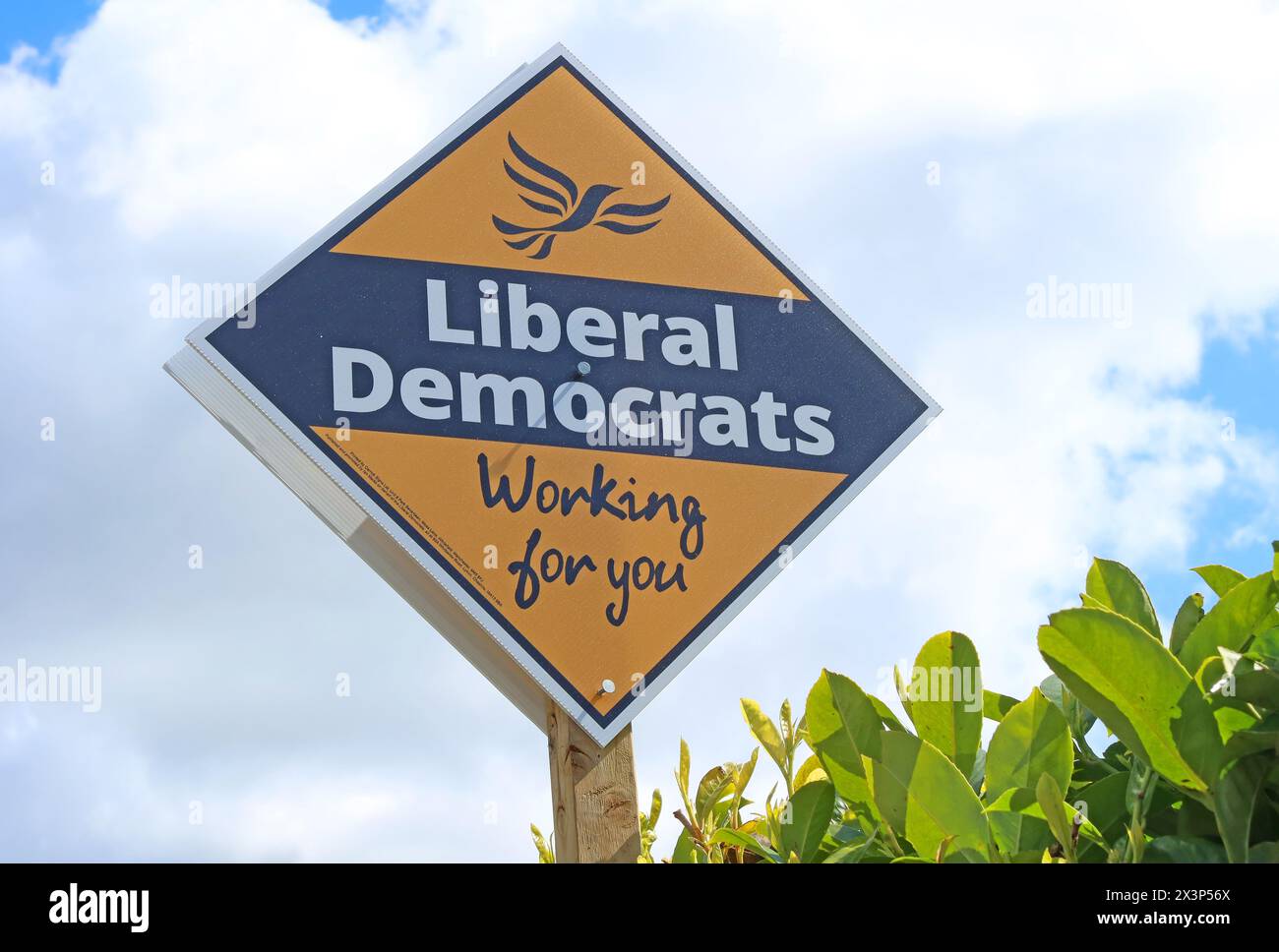 LibDems, libéral démocrate signe pour le conseil local et les élections générales, Working for You slogan, Cheshire, Angleterre, Royaume-Uni, WA4 Banque D'Images