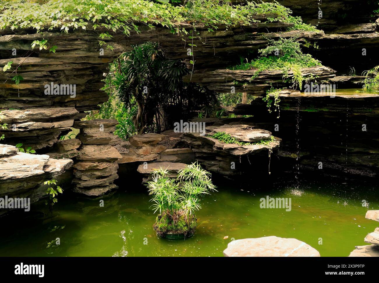 Chine jardin botanique de Shenzen Banque D'Images