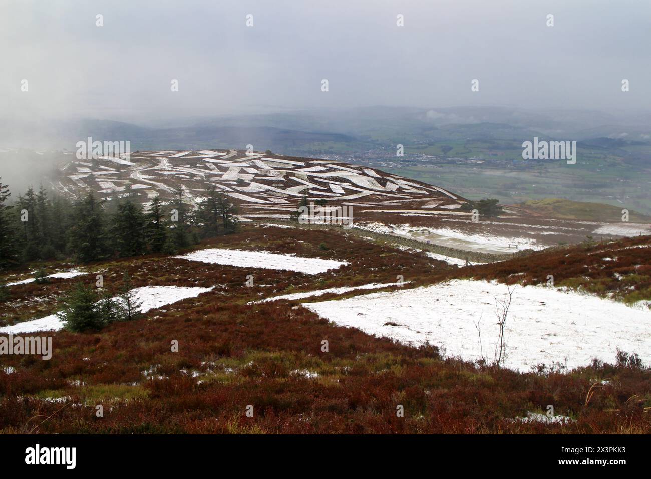 Sentier jusqu'à Moel Fammau, Mold, pays de Galles Banque D'Images