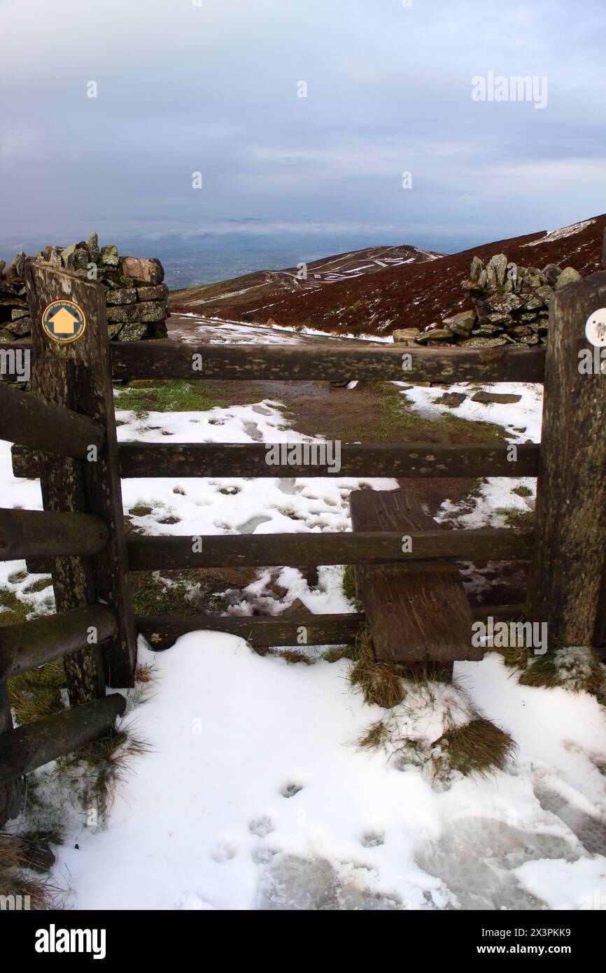 Sentier jusqu'à Moel Fammau, Mold, pays de Galles Banque D'Images