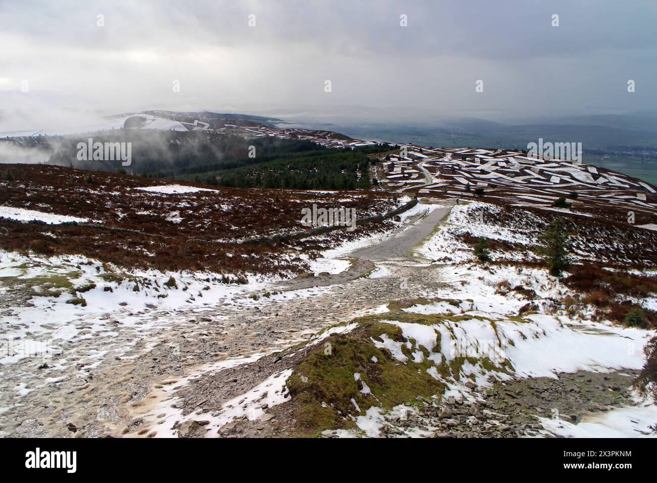 Sentier jusqu'à Moel Fammau, Mold, pays de Galles Banque D'Images