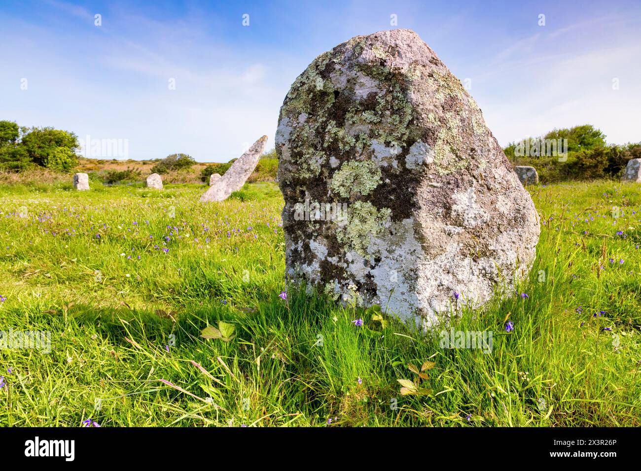 Gros plan d'une des pierres debout dans le cercle de pierre Boscawen-un, près de St Buryan, Cornouailles, Royaume-Uni. Concentrez-vous sur le premier plan. Banque D'Images