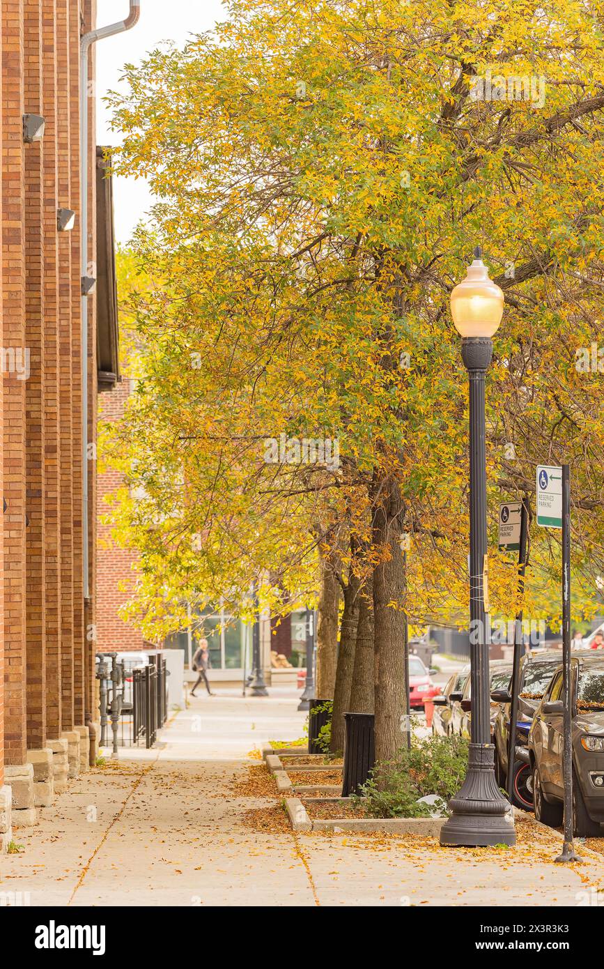 Vue sur la rue couverte près de l'Université de l'Illinois Chicago à Illinois Banque D'Images