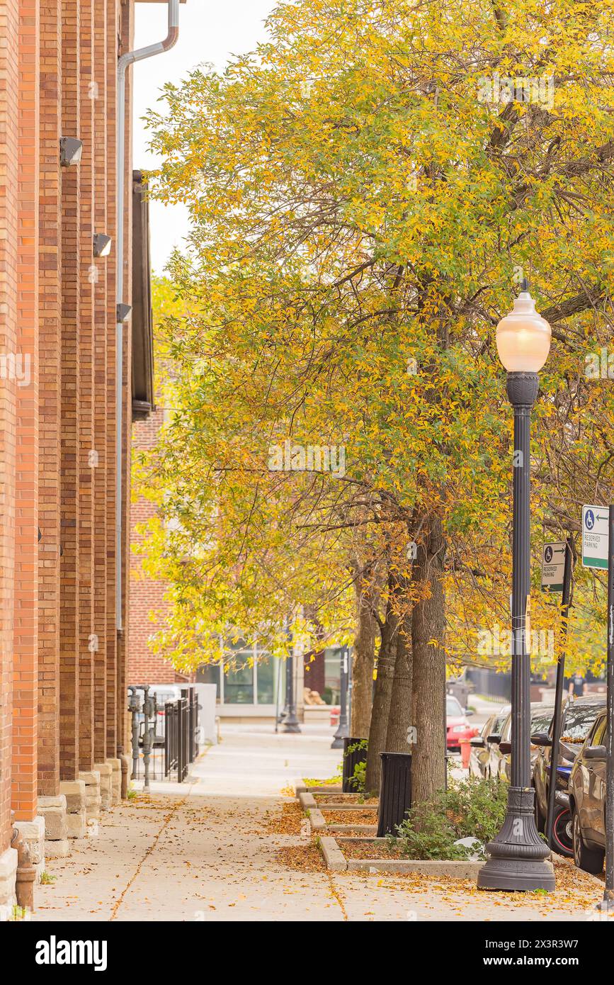 Vue sur la rue couverte près de l'Université de l'Illinois Chicago à Illinois Banque D'Images