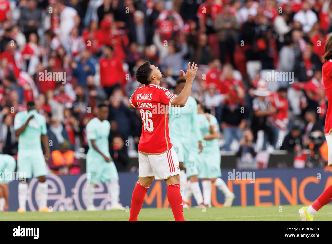 Marcos Leonardo après avoir marqué un but lors d'un match de Liga Portugal entre SL Benfica et SC Braga à l'Estadio Da Luz, Lisbonne, Portugal. (Maciej Rogowski) Banque D'Images