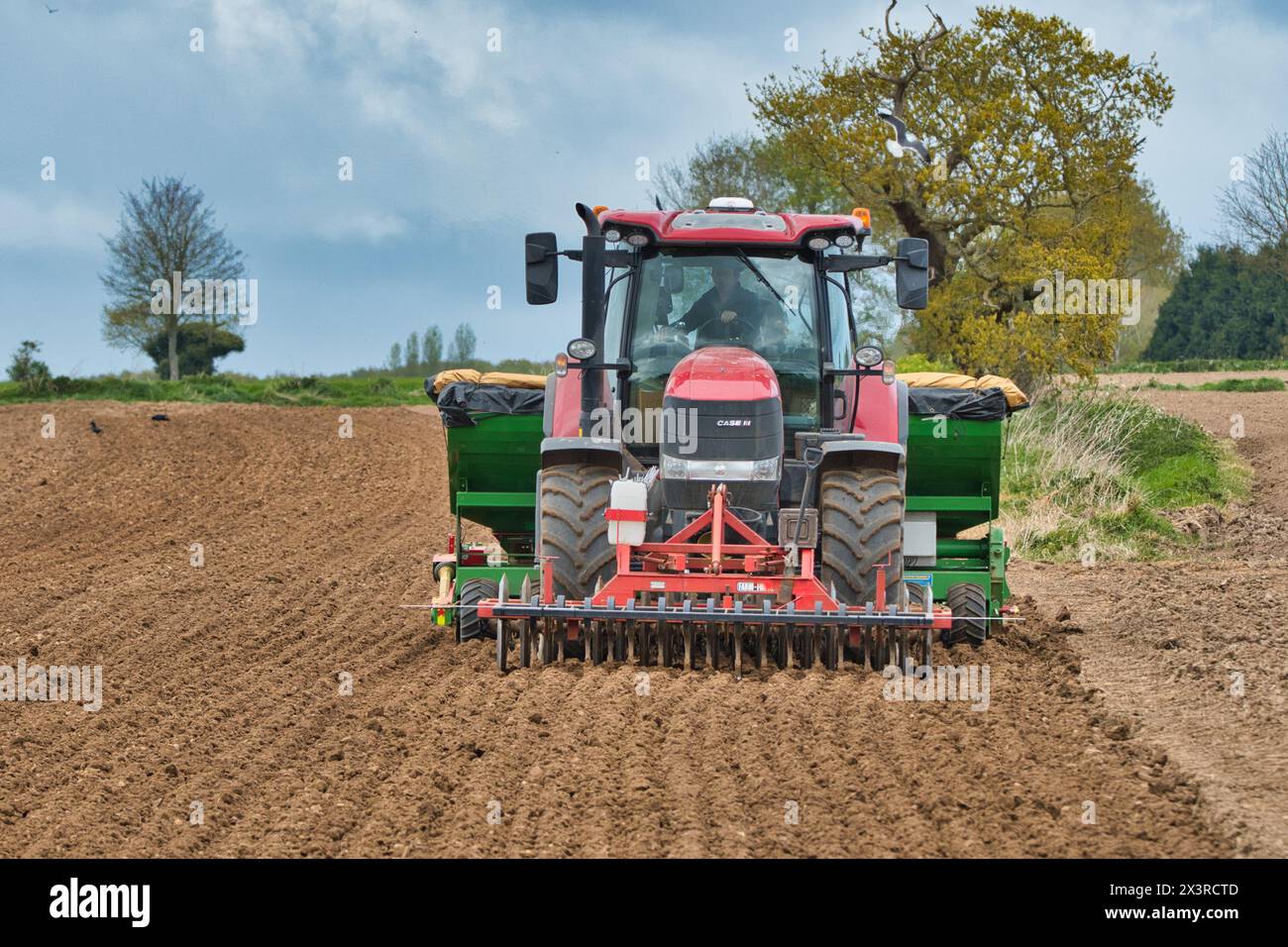Tracteurs effectuant des forages profonds sur lit, préparant la plantation de pommes de terre au printemps sur des terres agricoles à Norfolk (Hickling) East Anglia UK. Banque D'Images