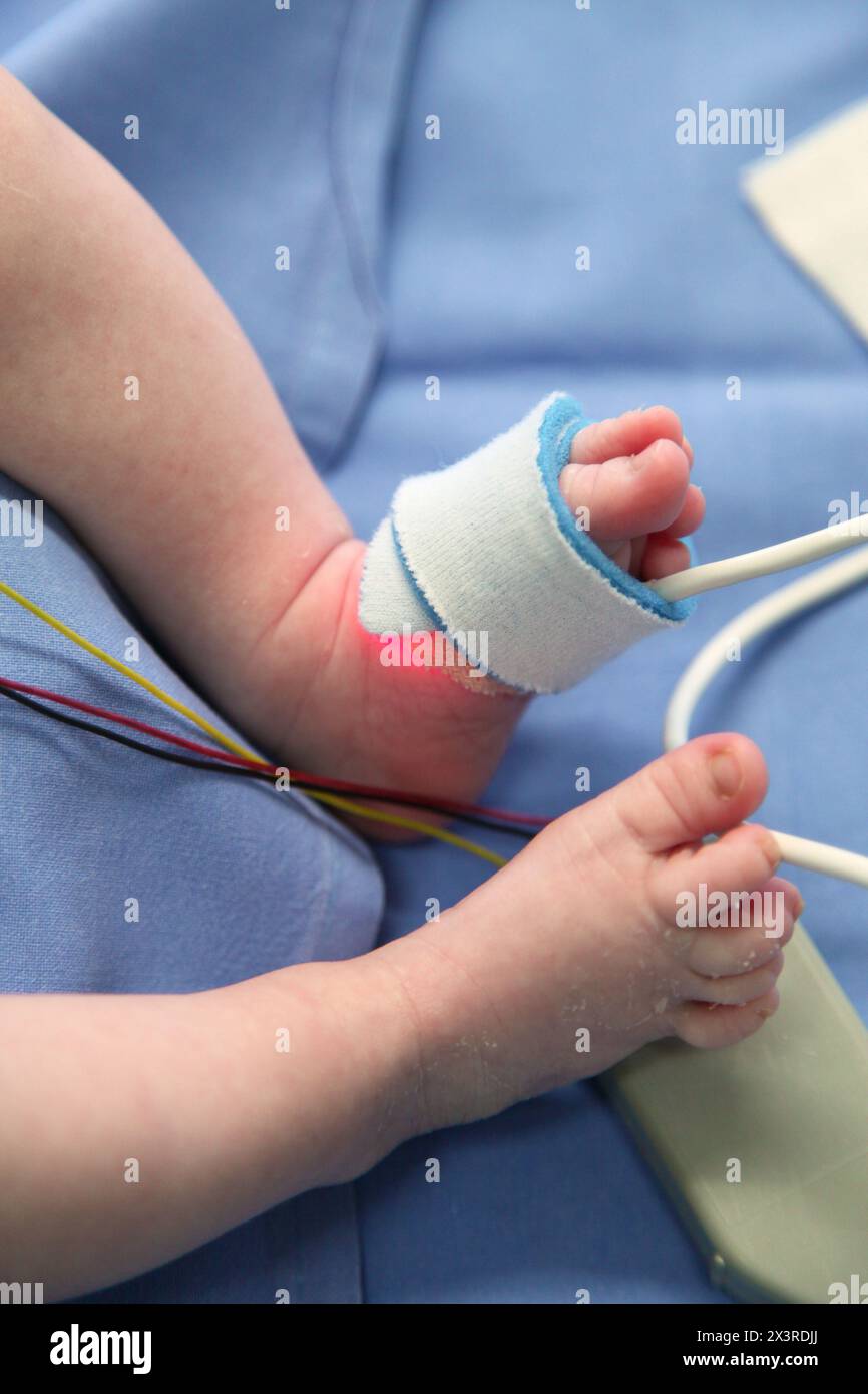 Le nouveau-né, nouveau-né, l'unité de soins intensifs, l'hôpital Donostia San Sebastian, Donostia, Gipuzkoa, Pays Basque, Espagne Banque D'Images