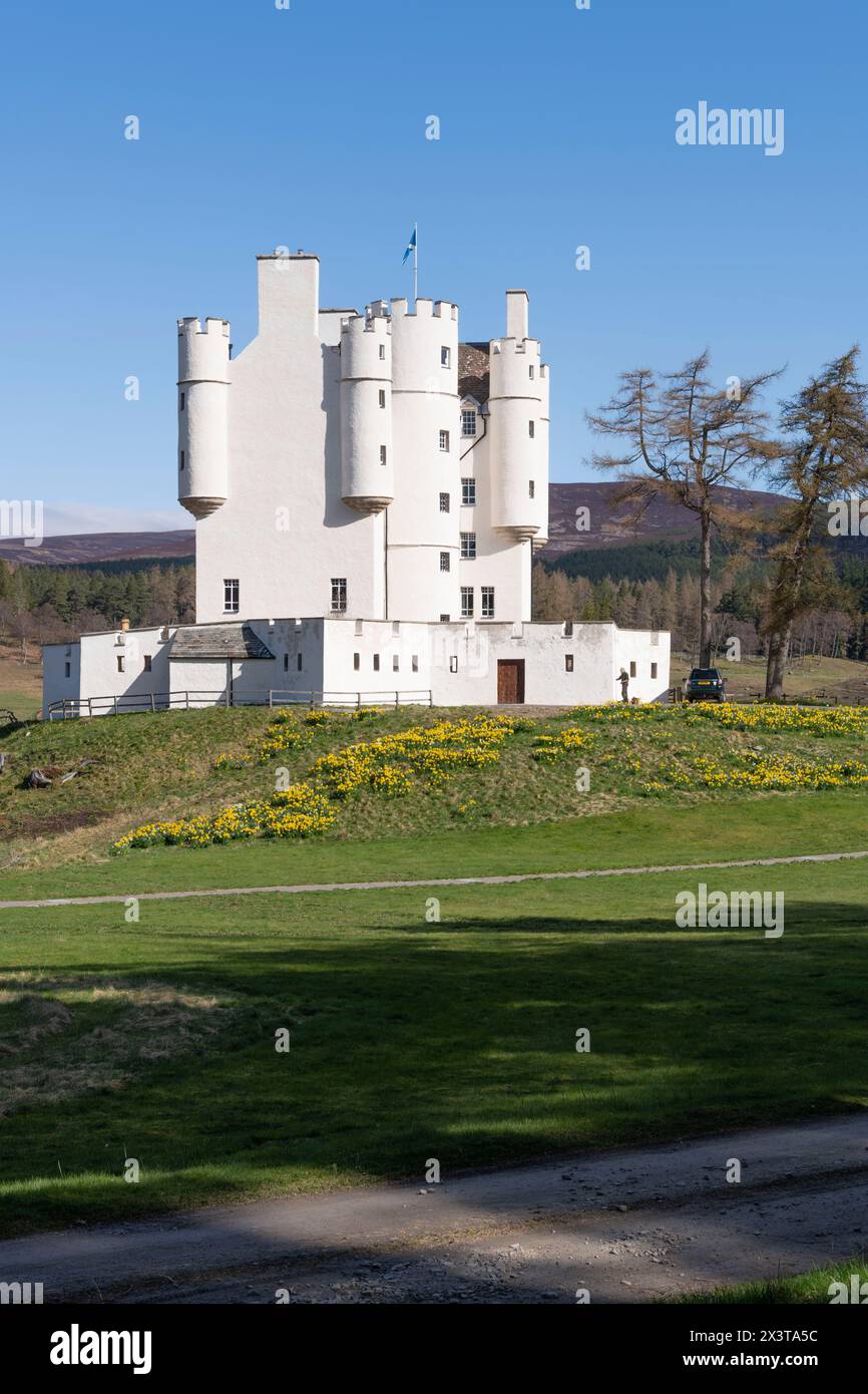 Château de Braemar, une attraction touristique historique à Royal Deeside, avec une exposition colorée de jonquilles par un matin de printemps lumineux Banque D'Images
