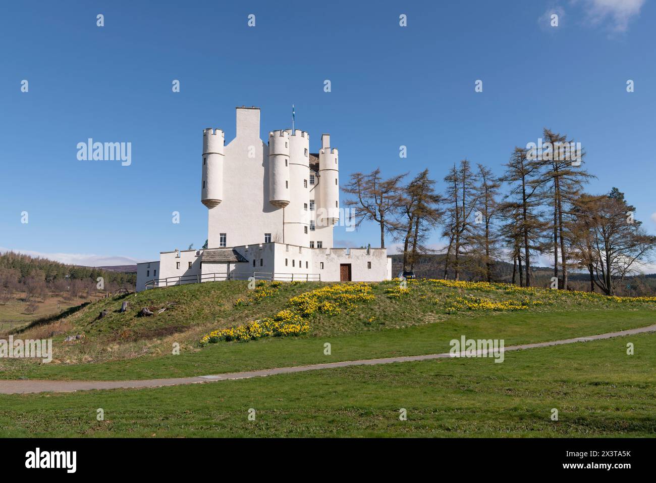 Printemps au château de Braemar dans les Highlands écossais, avec le domaine plein de jonquilles en fleurs Banque D'Images
