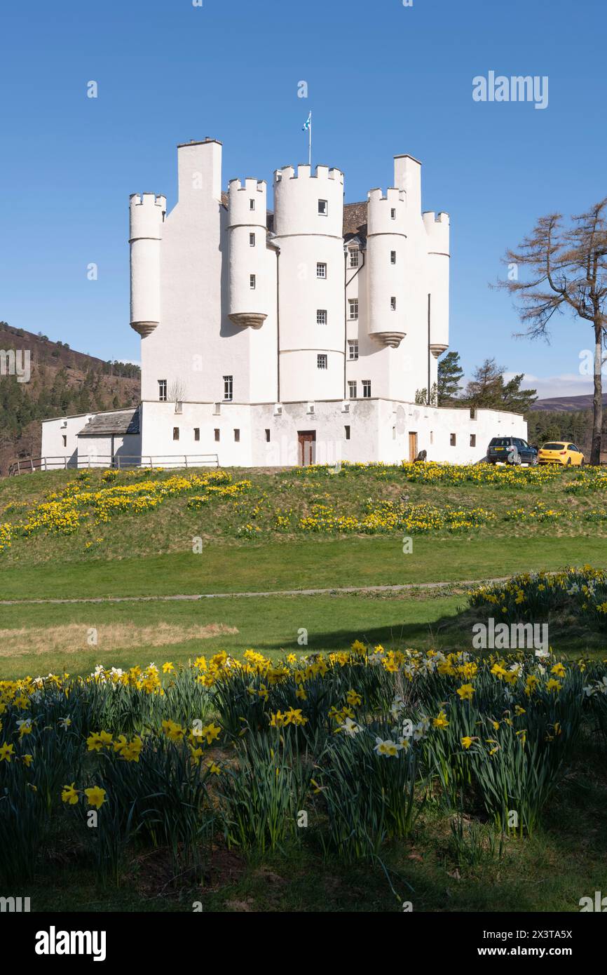 Château de Braemar dans les Highlands écossais entouré de jonquilles (Narcisse) par un matin ensoleillé au printemps Banque D'Images