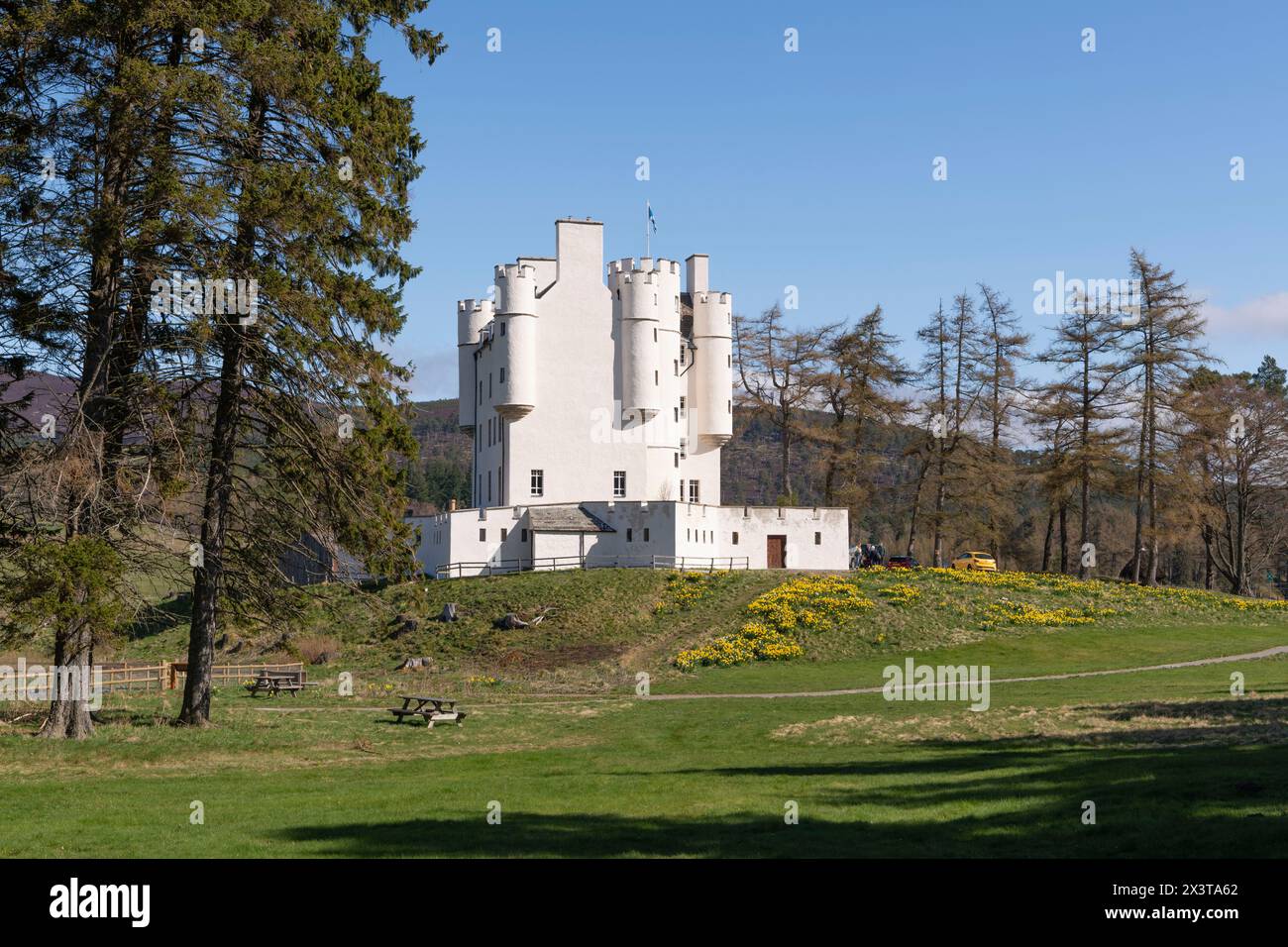 Les jardins du château de Braemar dans le parc national de Cairngorms au printemps, avec une exposition colorée de jonquilles Banque D'Images