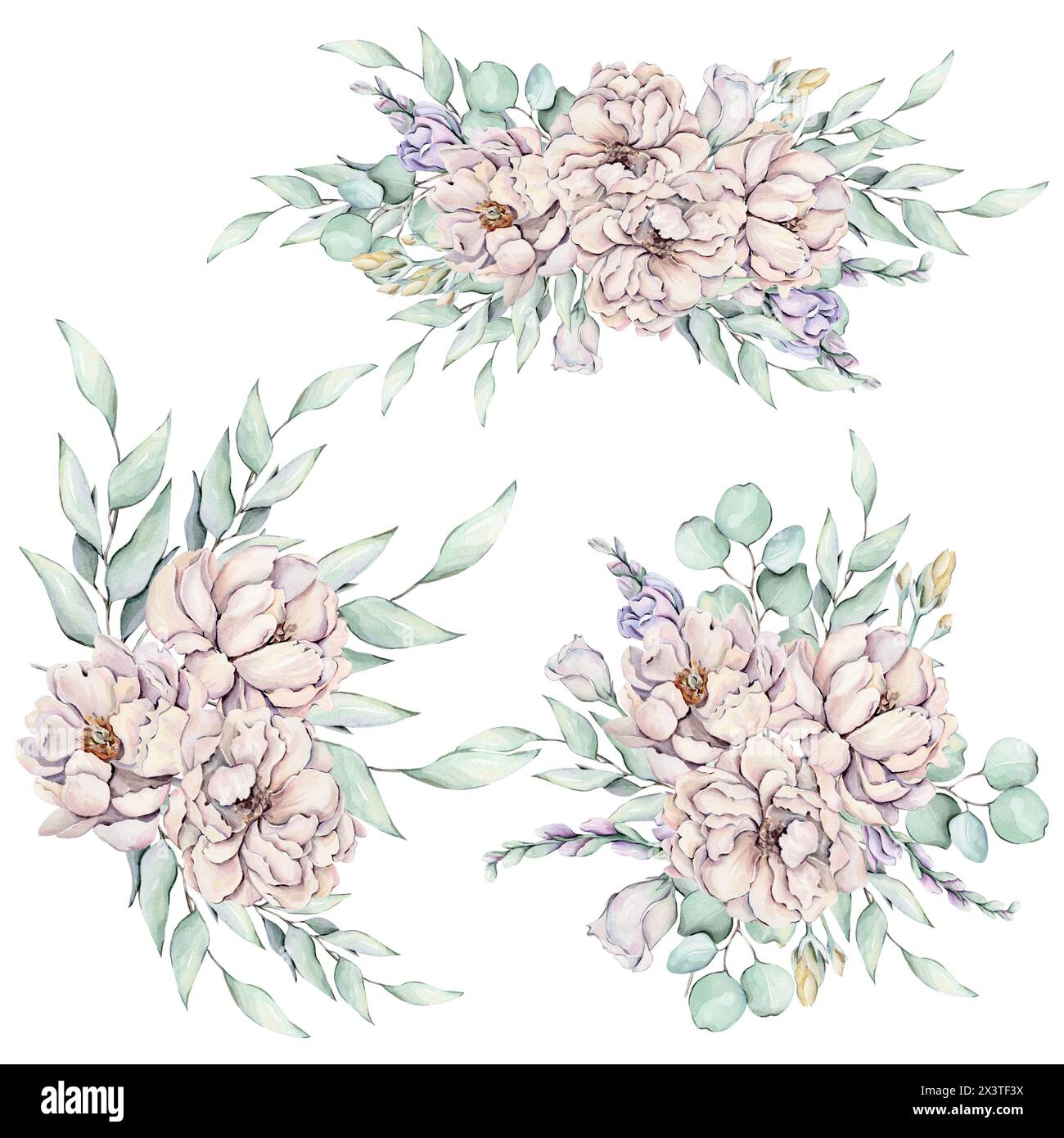 Pivoines d'aquarelle, fleurs et feuilles Banque D'Images