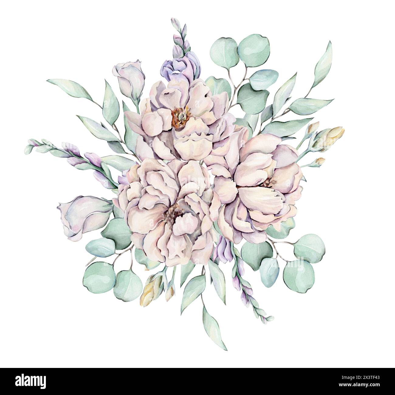 Pivoines d'aquarelle, fleurs et feuilles Banque D'Images