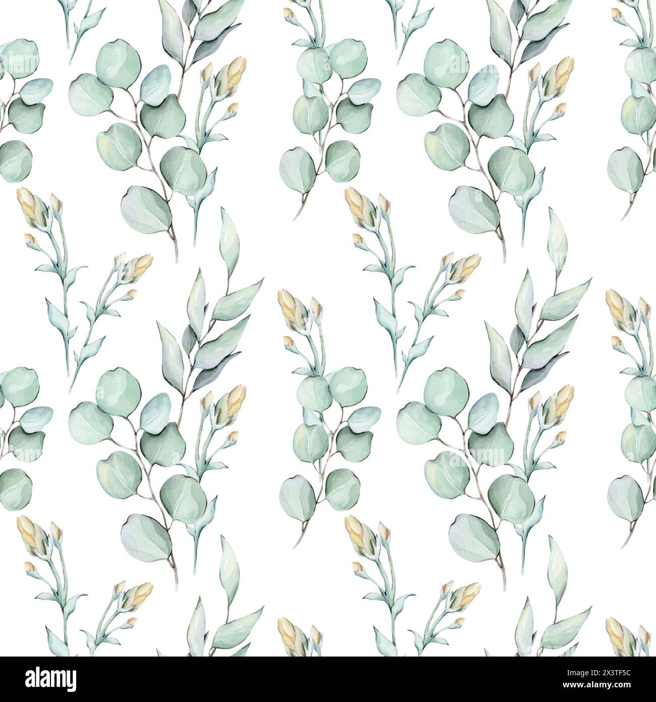 Modèle sans couture avec des fleurs et des feuilles d'aquarelle Banque D'Images