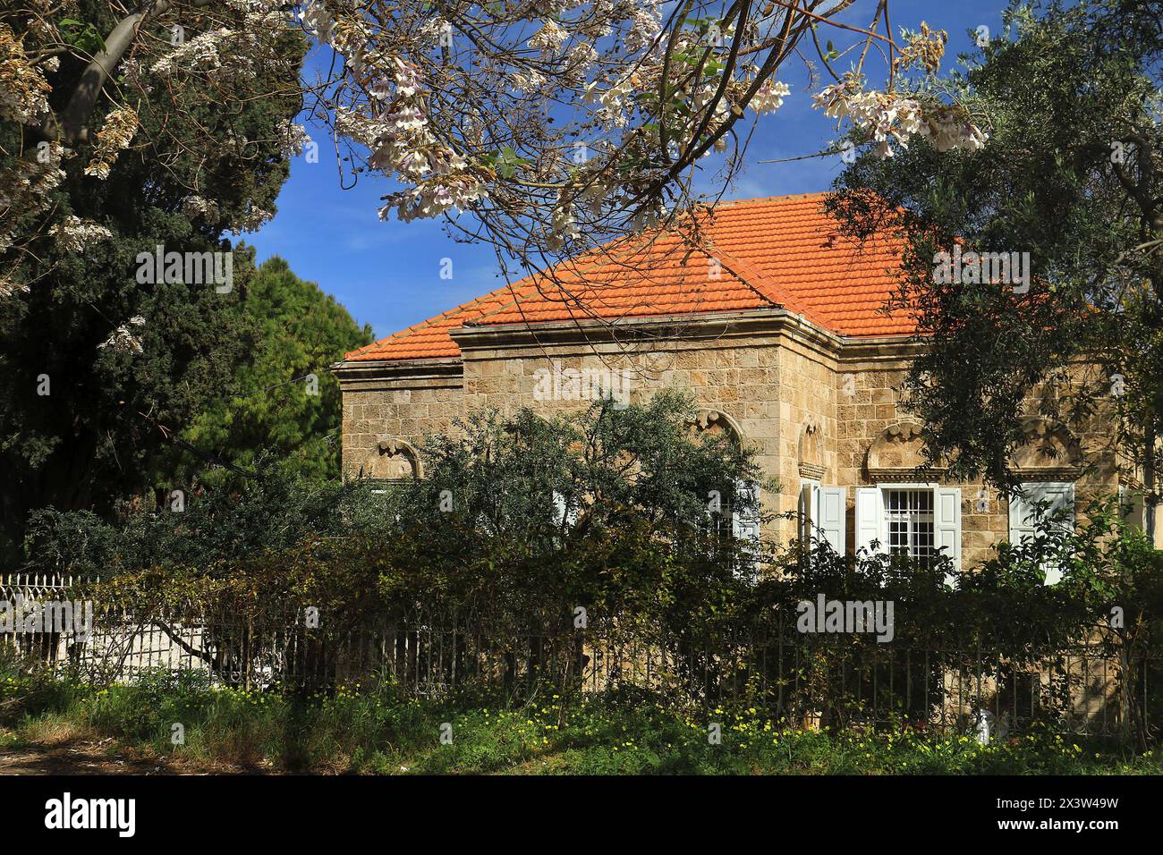 Une maison libanaise traditionnelle avec un arbre à fleurs au printemps. Banque D'Images