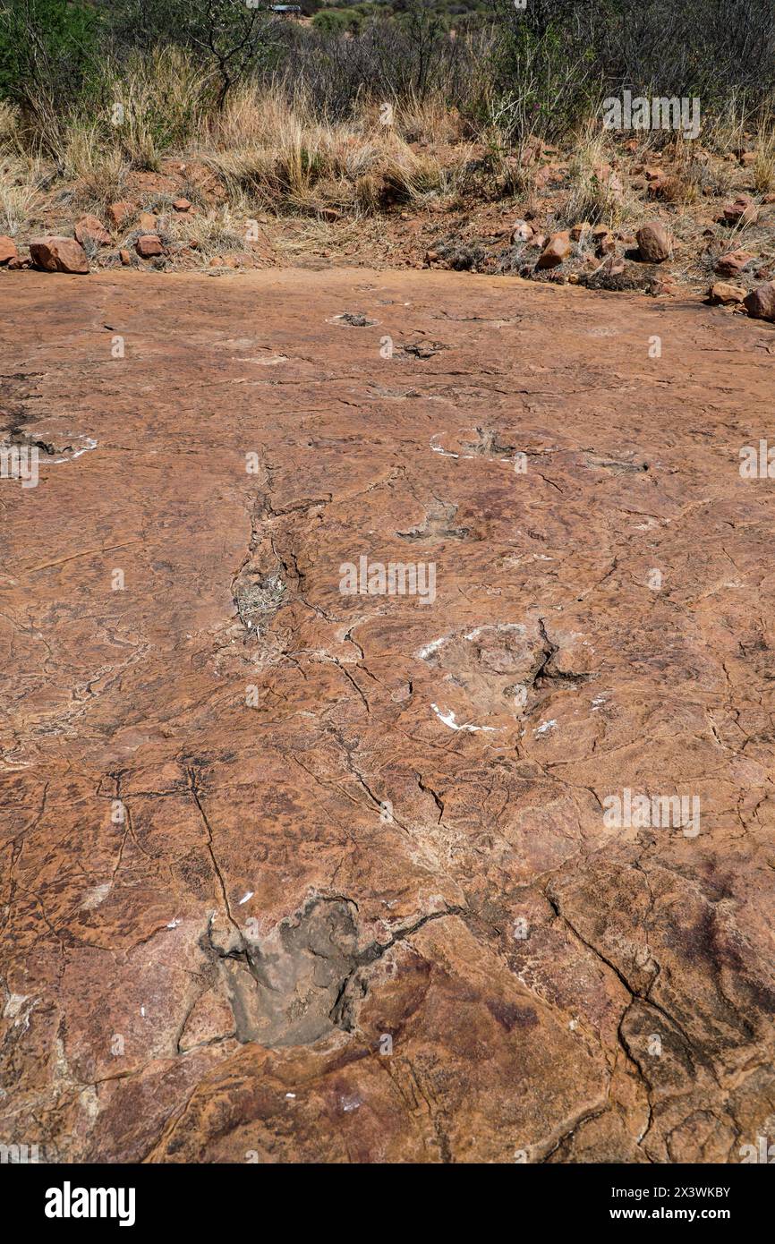 Traces de dinosaures Otjihaenamparero, Namibie Banque D'Images