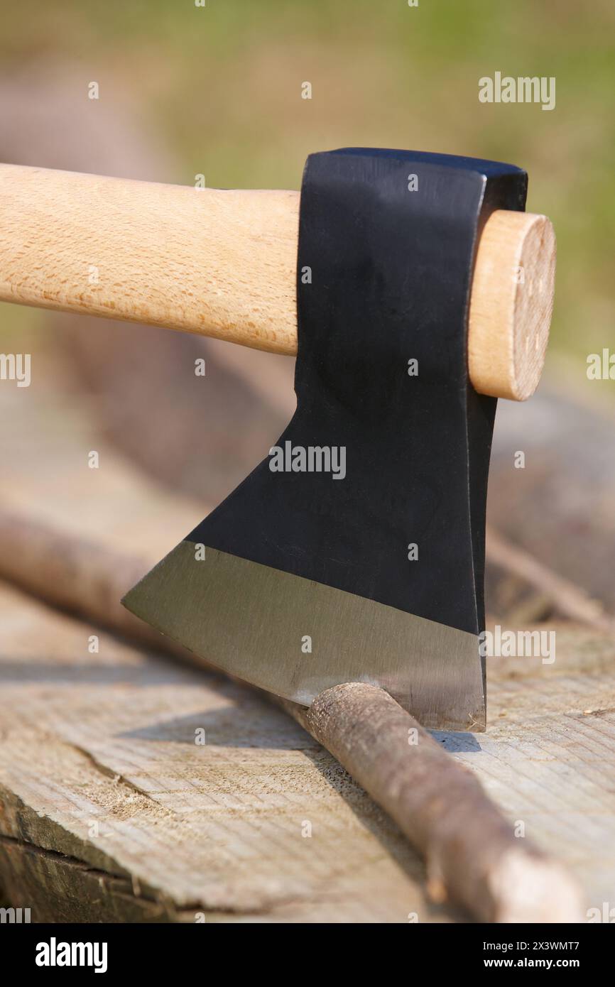 Farmer couper du bois avec une hache, hache, de l'agriculture et le jardinage, outil à main, Usurbil, Gipuzkoa, Pays Basque, Espagne Banque D'Images