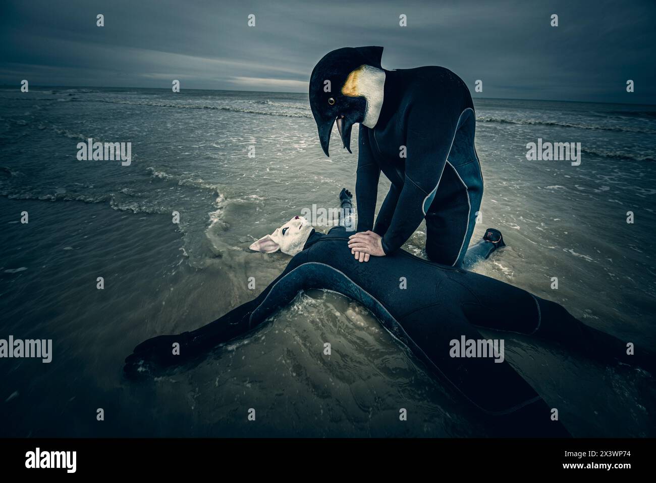 Moitié homme, moitié animal. Banque D'Images