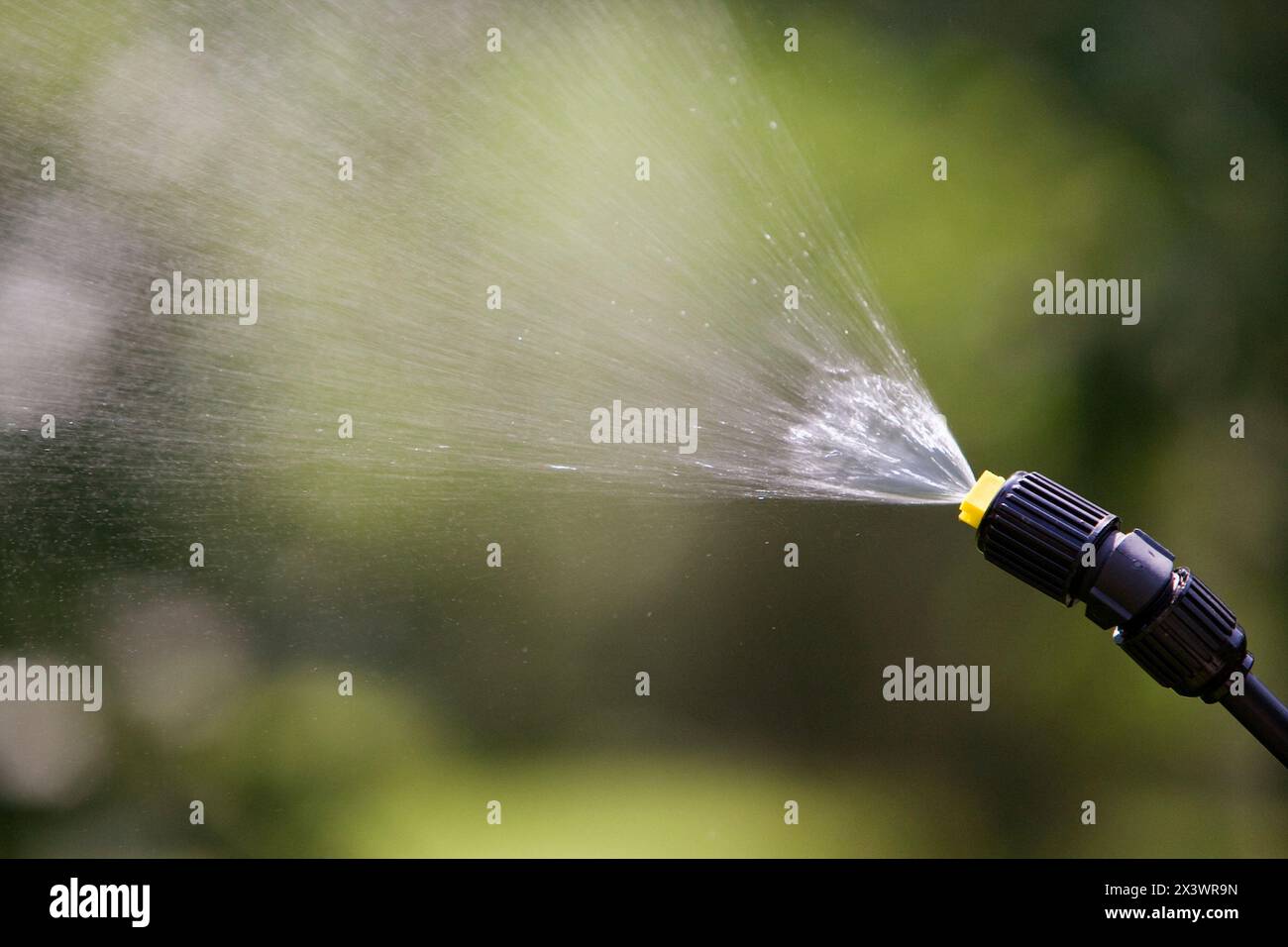 Traiter avec pulvérisateur (insecticides, pesticides) Banque D'Images