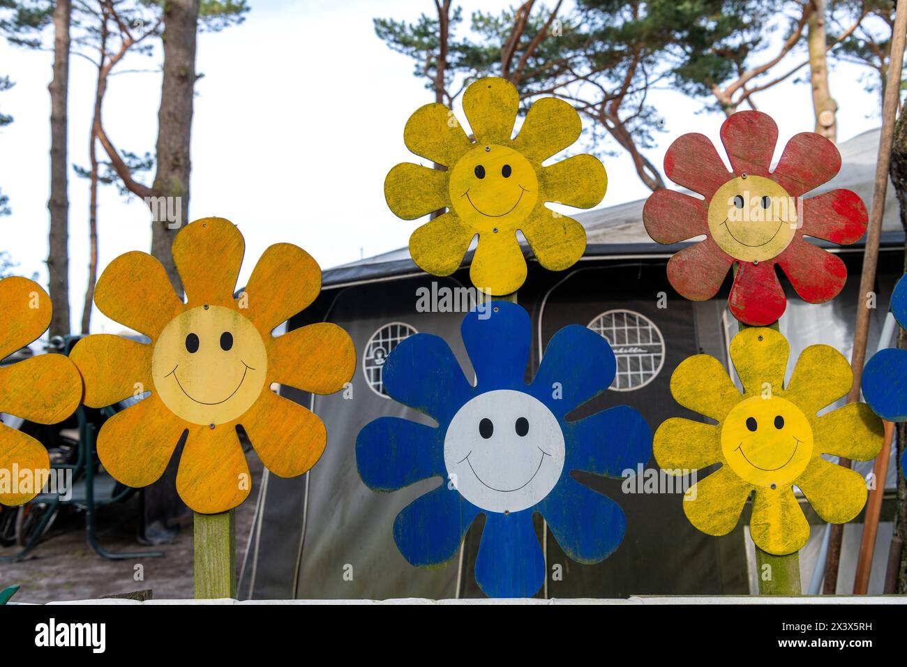 Bunte Blumen mit einem lächelnden Gesicht aus Holz begrenzen einen Dauercampingplatz hinter den Dünen in Prerow, Halbinsel Fischland-Darß-Zingst, Landkreis Vorpommern-Rügen Naturcamping in den Dünen *** fleurs colorées avec un visage souriant en bordure de bois un camping permanent derrière les dunes à Prerow, péninsule Fischland Darß Zingst, quartier Vorpommern Rügen Naturcamping in den Dünen 20240406-DSC 7811 Banque D'Images