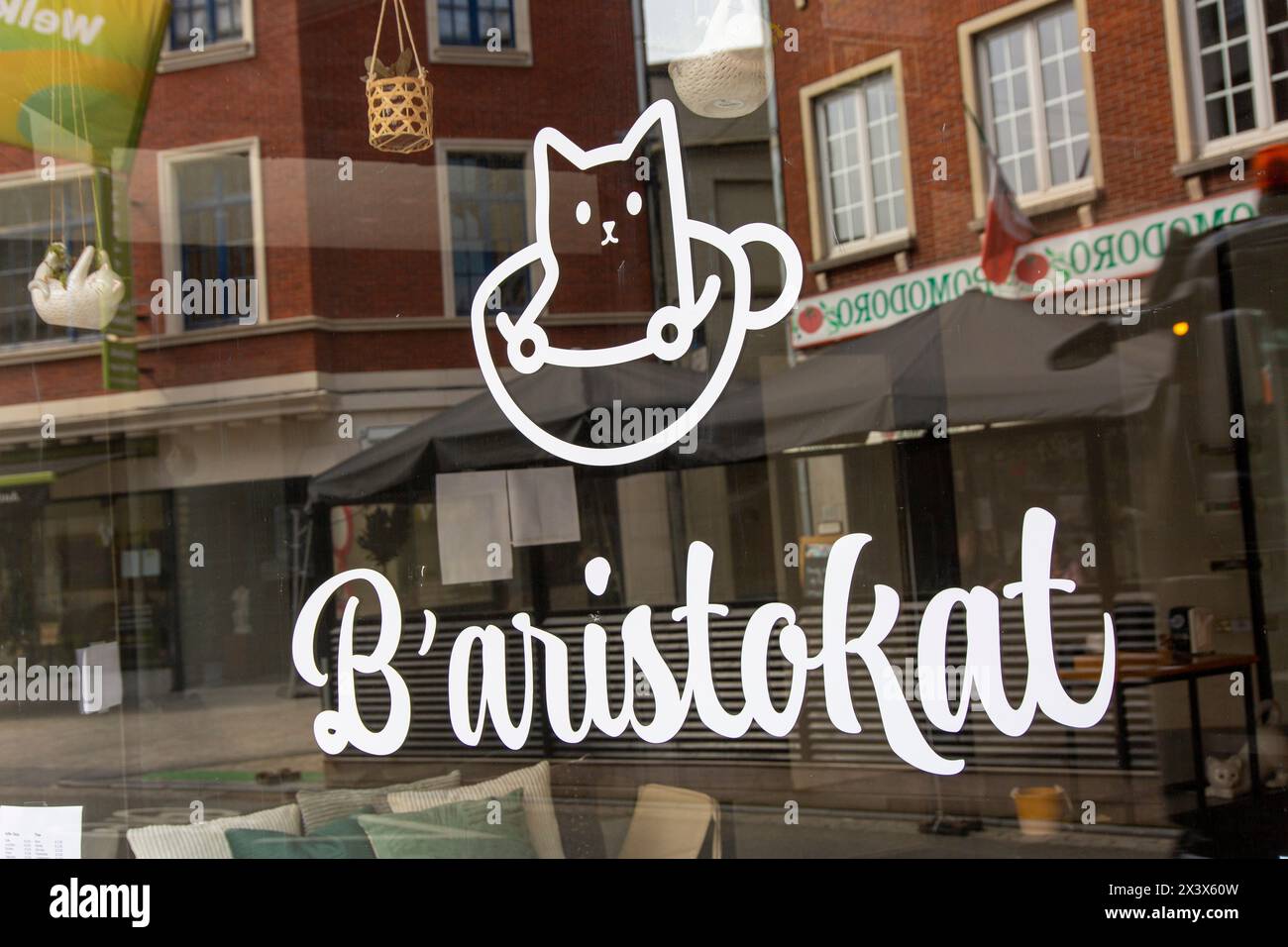 Belgique, Cat bar Banque D'Images
