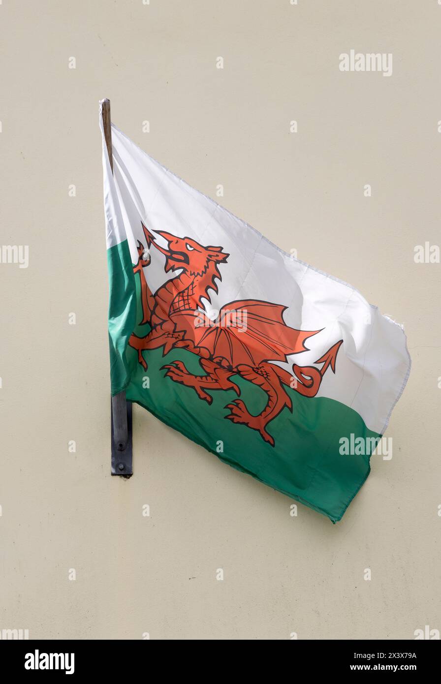 Drapeau Weslh avec dragon rouge, Llandovery, pays de Galles, Royaume-Uni Banque D'Images