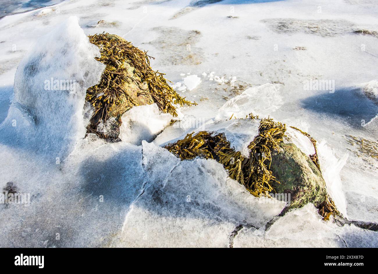 Norvège, ville de Tromso, Île de Senja, gros plan de la glace sur les flancs d'un fjord Banque D'Images