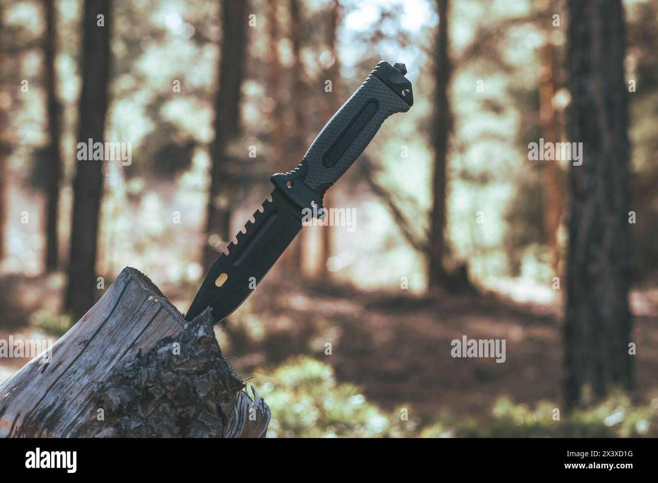 Couteau dans la forêt. Le concept de survie et de survie Banque D'Images