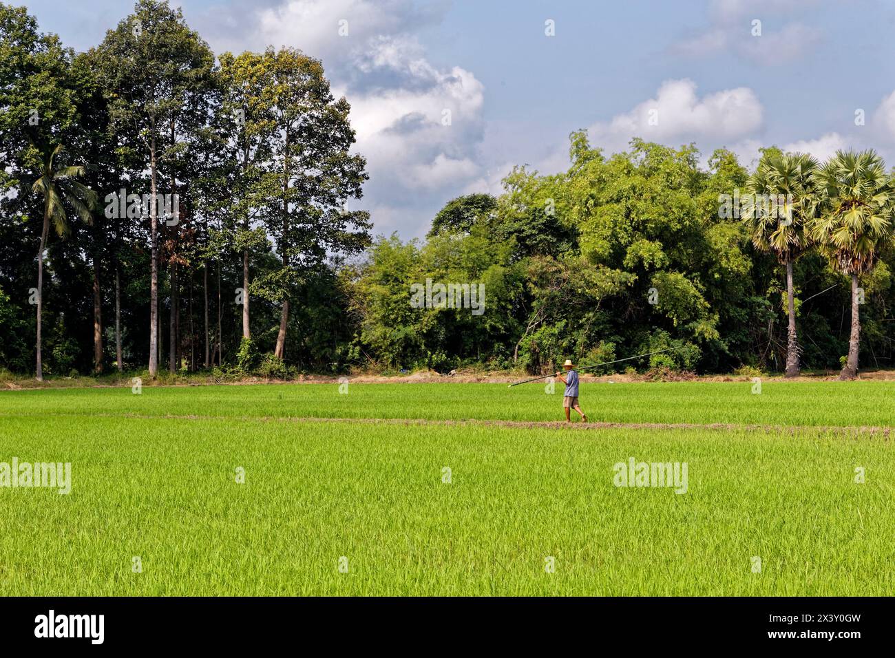 Ban Chai Khao, Thai-Switerzland, Uthai Thani, Thaïlande Banque D'Images