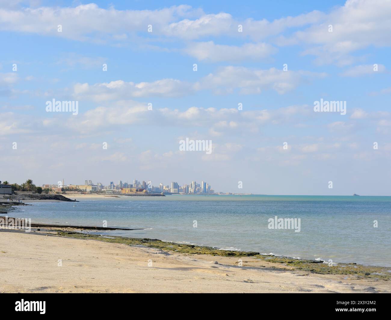Palmiers, sable dans une journée ensoleillée à Koweït ville Koweït. De hauts bâtiments peuvent être vus en arrière-plan Banque D'Images
