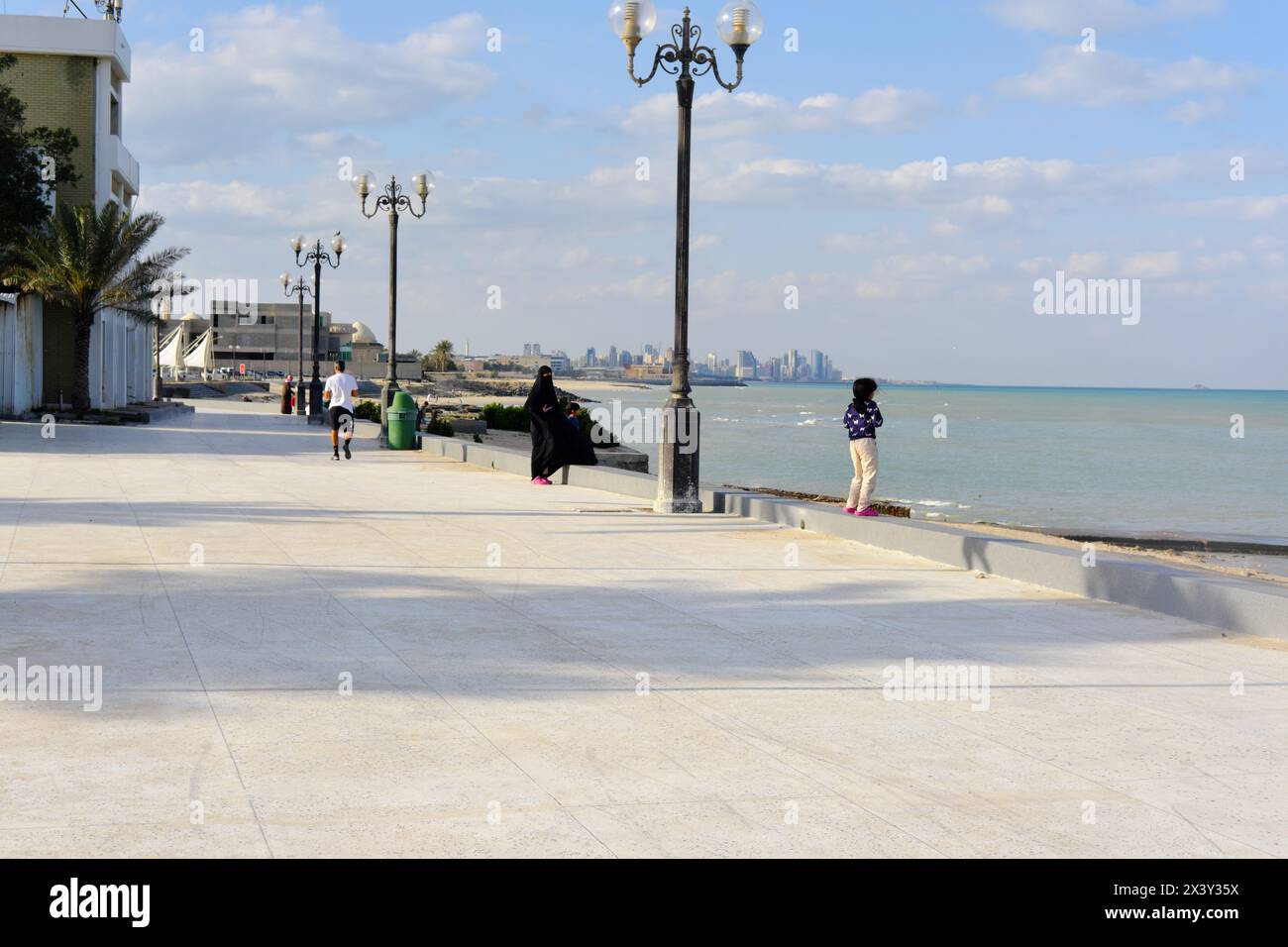 Palmiers, sable dans une journée ensoleillée à Koweït ville Koweït. De hauts bâtiments peuvent être vus en arrière-plan Banque D'Images