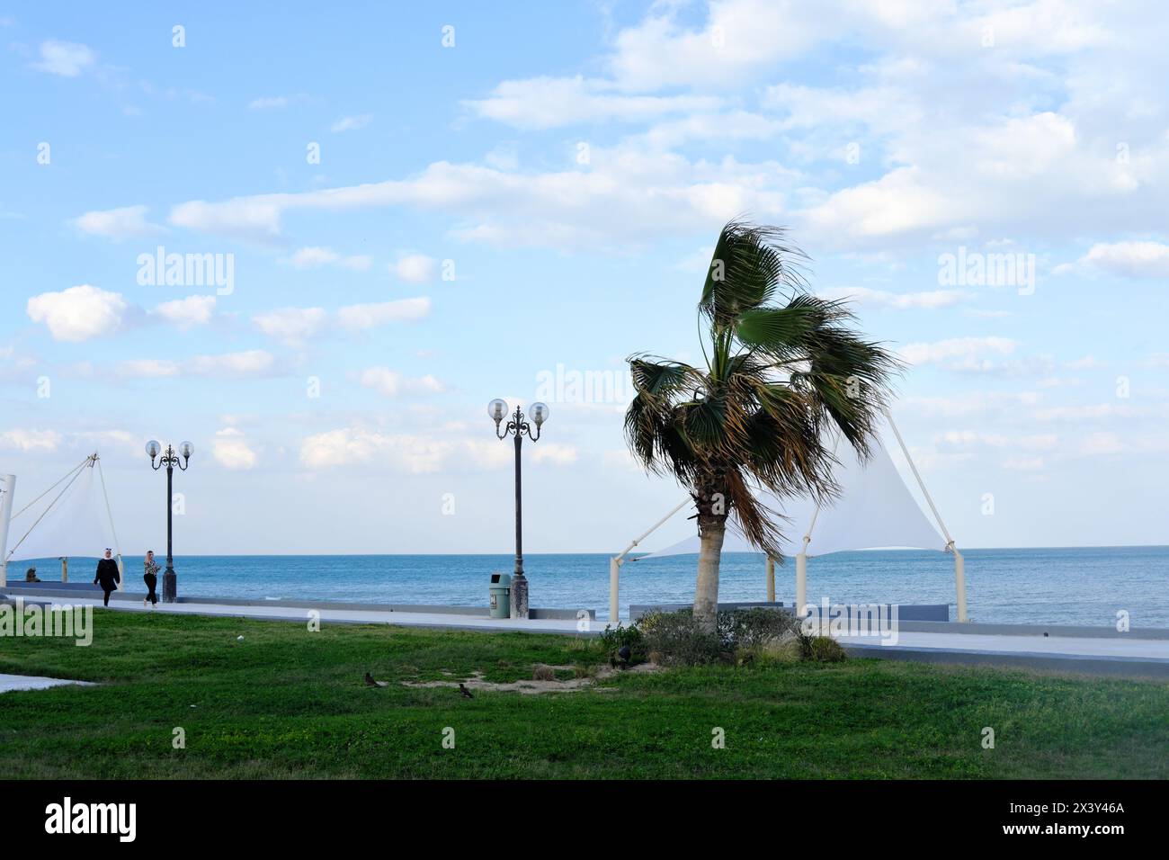 Palmiers, sable dans une journée ensoleillée à Koweït ville Koweït. De hauts bâtiments peuvent être vus en arrière-plan Banque D'Images