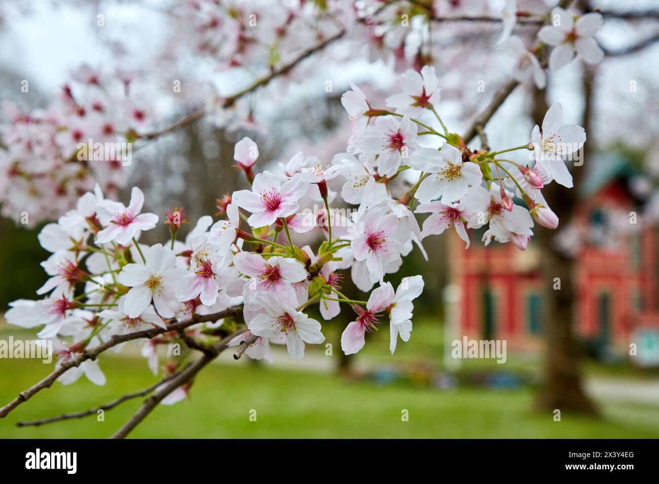 Jardins et Palais de Aiete, Donostia, San Sebastian, Gipuzkoa, Pays Basque, Espagne Banque D'Images