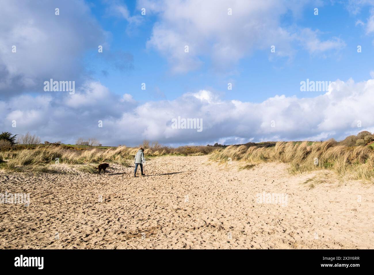 Un promeneur de chien sur par Beach en Cornouailles au Royaume-Uni. Banque D'Images